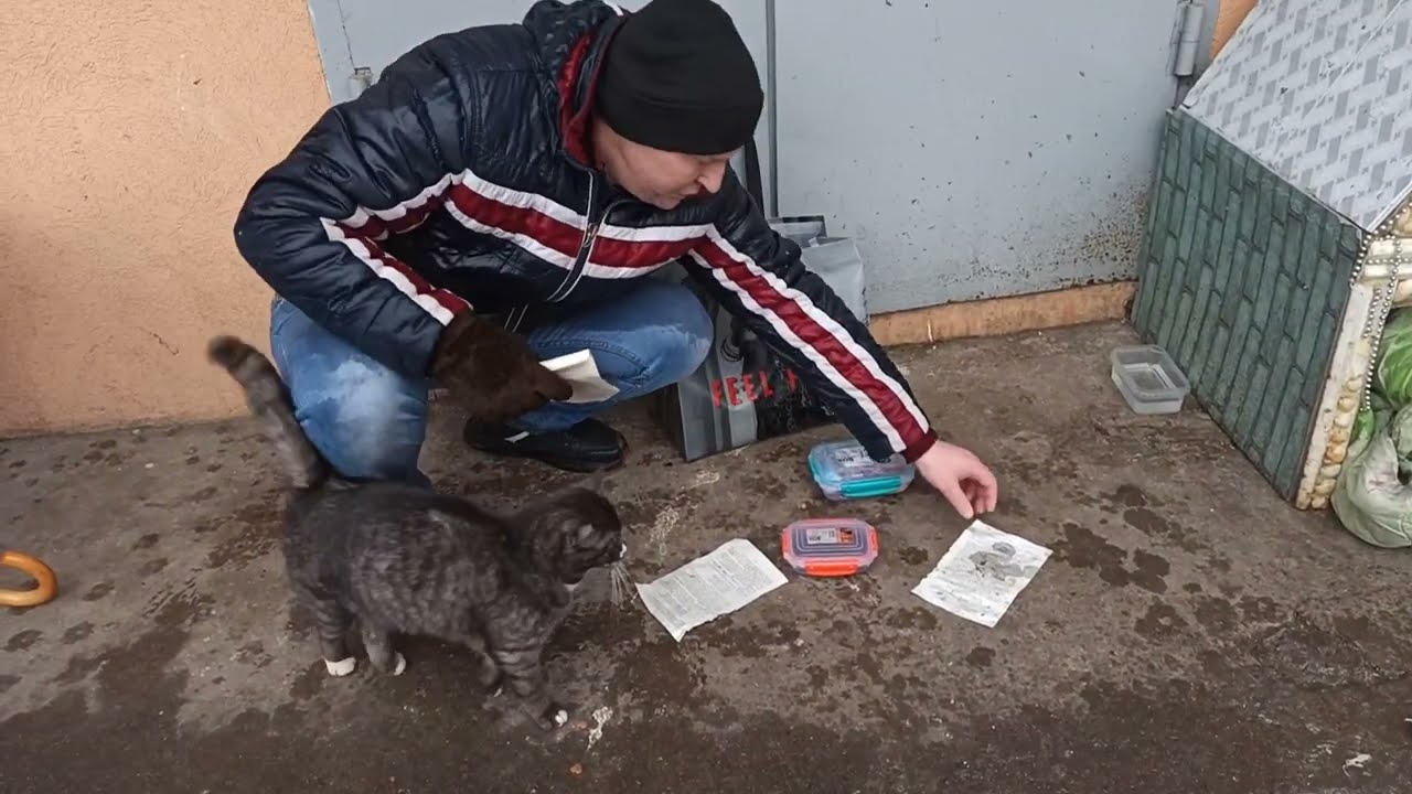 Сквозь Ливень К Еде / Through the Rain to Food 🔥