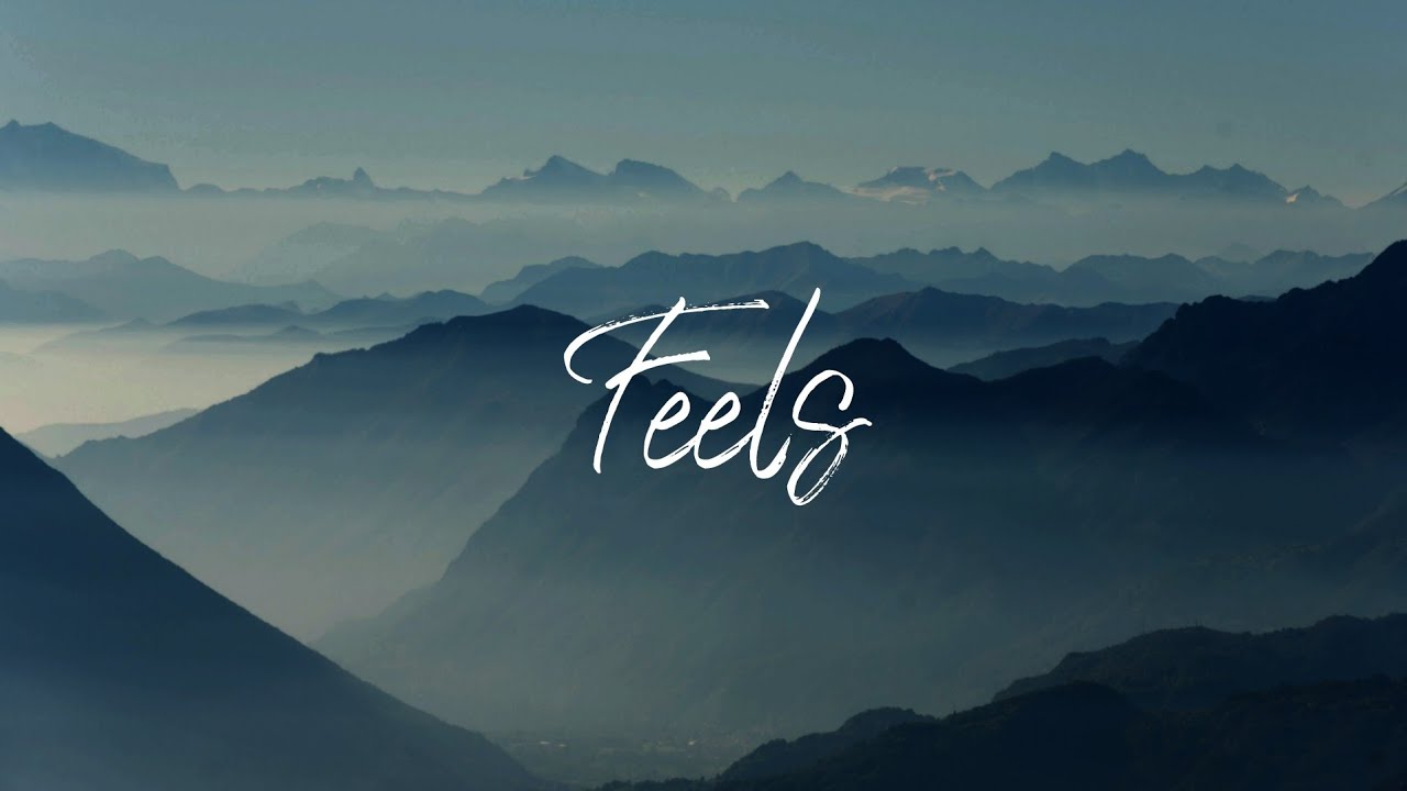 Mufasa Rex × Prachi - Feels ( Animated Music Video)