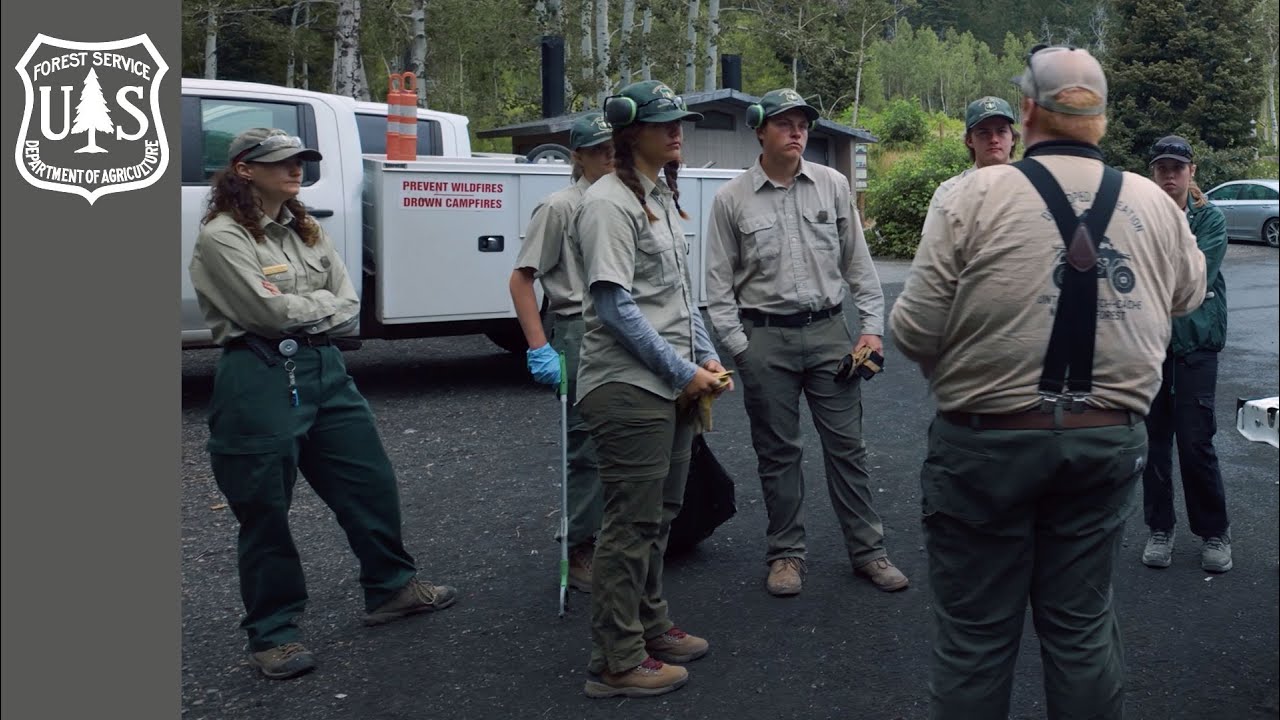 Connecting Forests and Communities