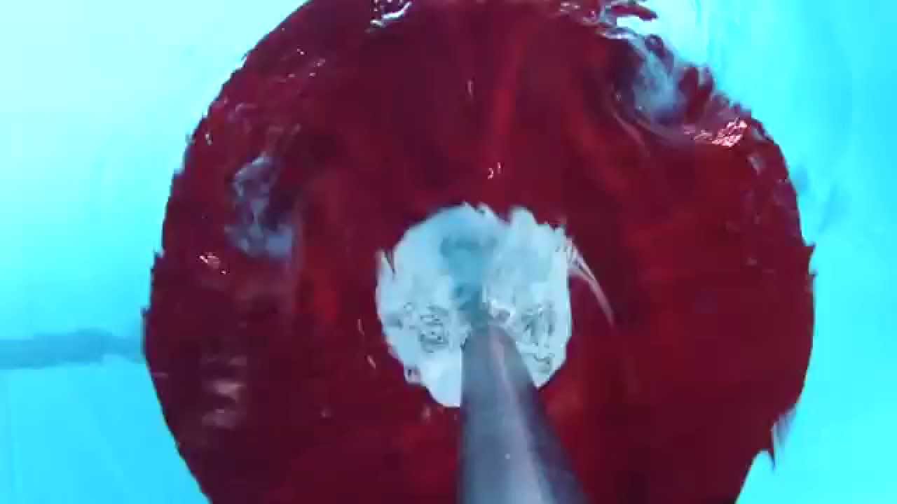 ACQUAPOLE&reg; - Aqua Fitness Singapore - Official Video