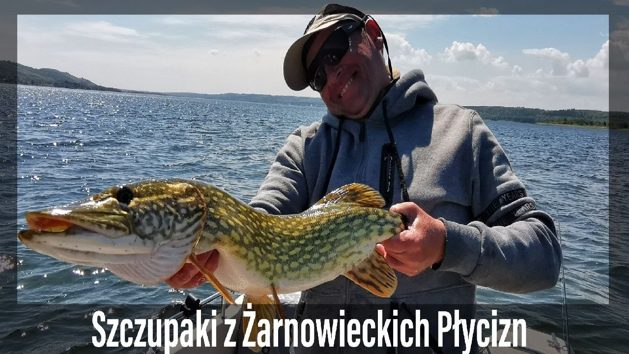Szczupaki na spinning z Żarnowieckich płycizn