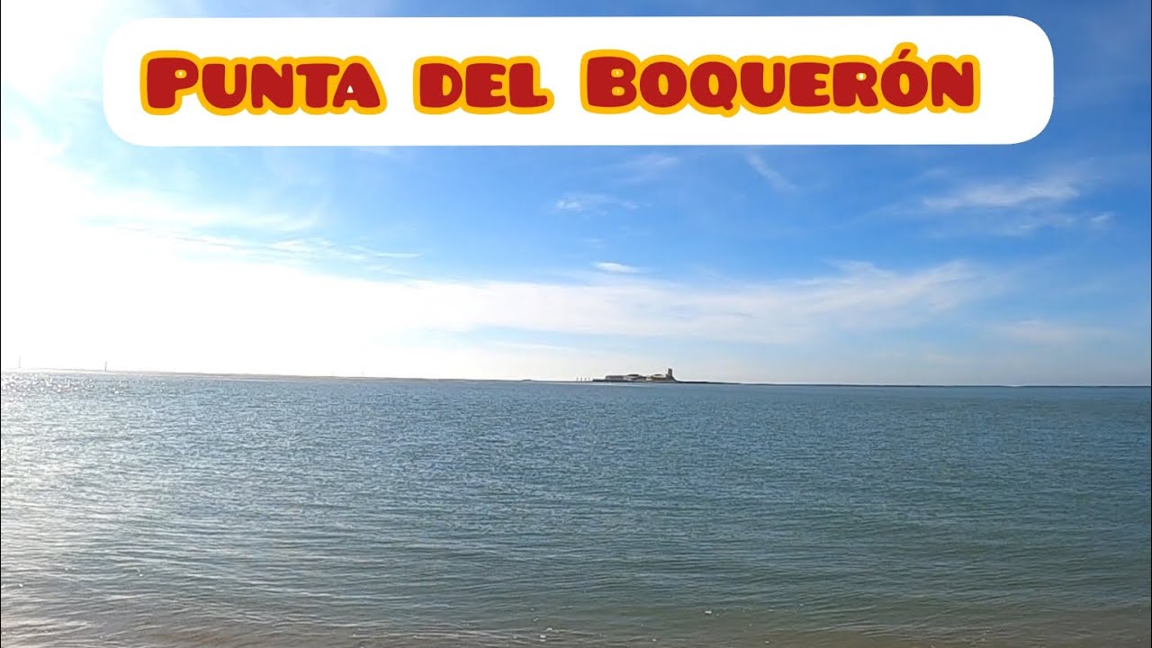 SURFCASTING!! La Punta del Boquerón 🤙🎣