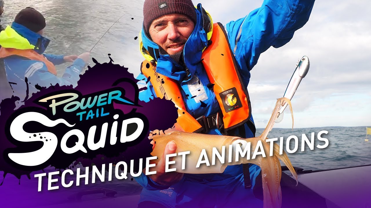 fiiish - POWER TAIL SQUID - Technique et animations