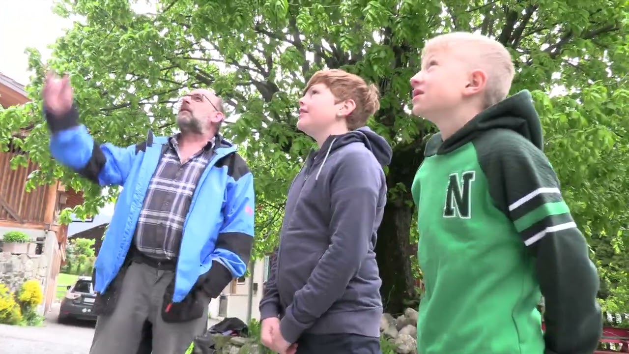 Rundgang durch Boltigen