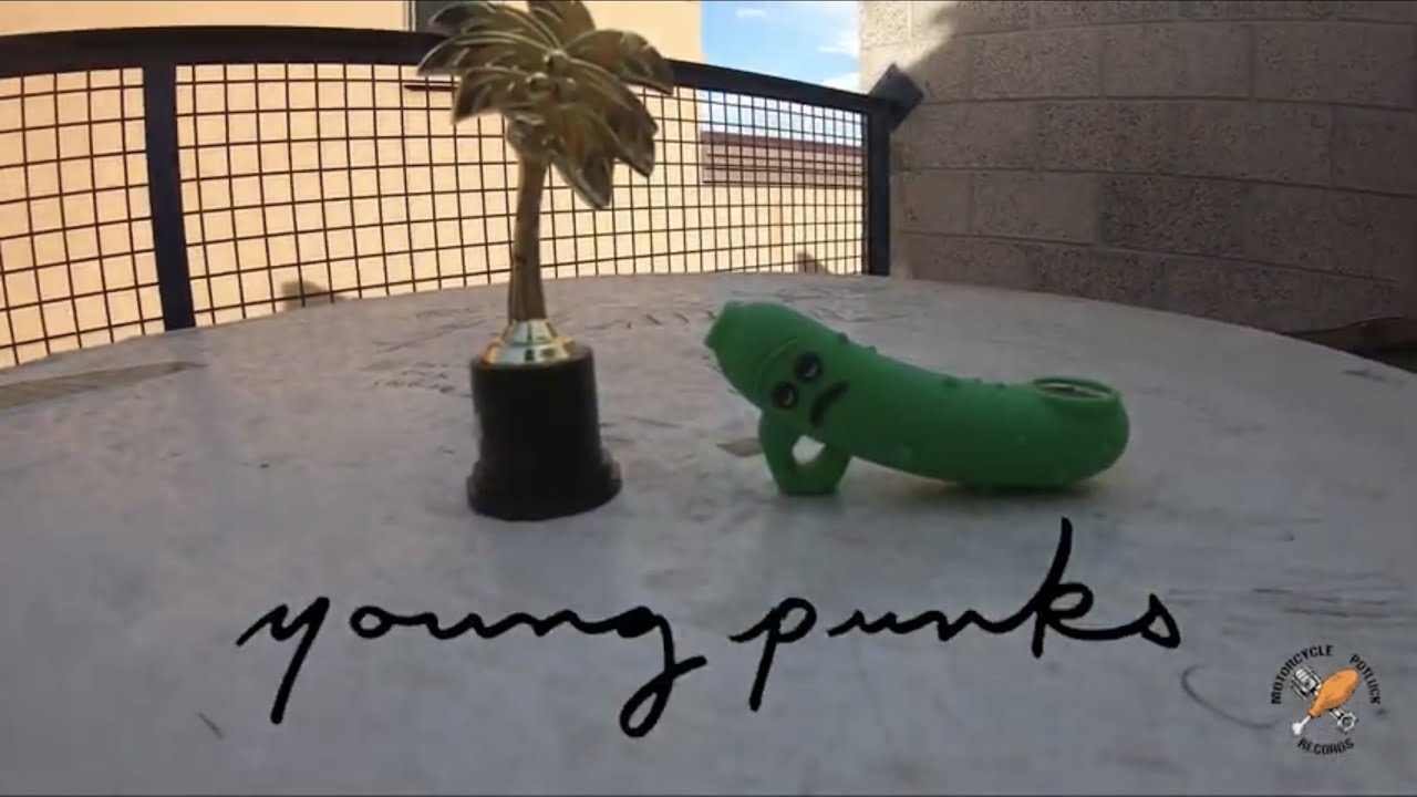 The Yellnats- Young Punks (Official Video)