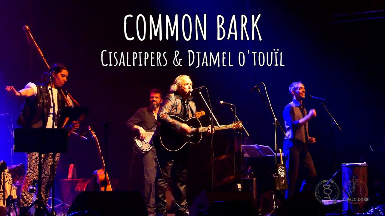 COMMON BARK ( Cisalpipers & Djamel O'Touïl ) LIVE 'À La Foire de L' Est' #commonbark #branduardi