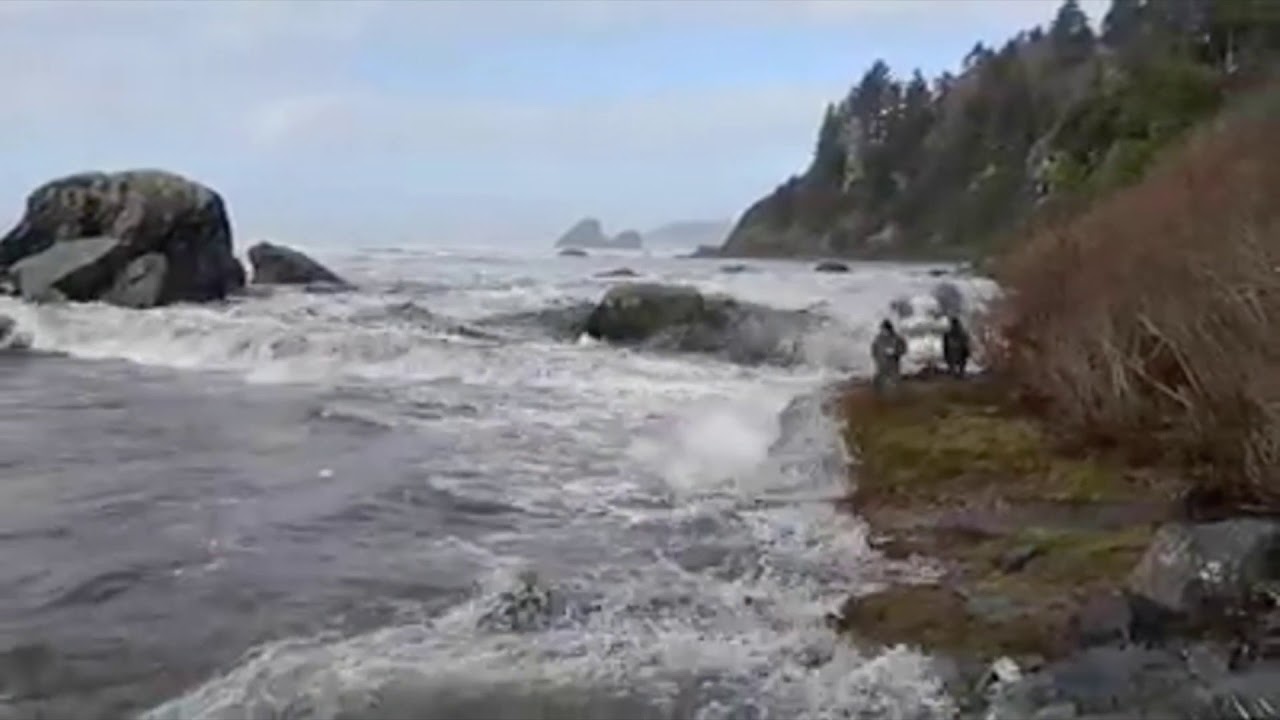Chilling Footage Shows How Quickly Dangerous Rogue Waves Can Strike