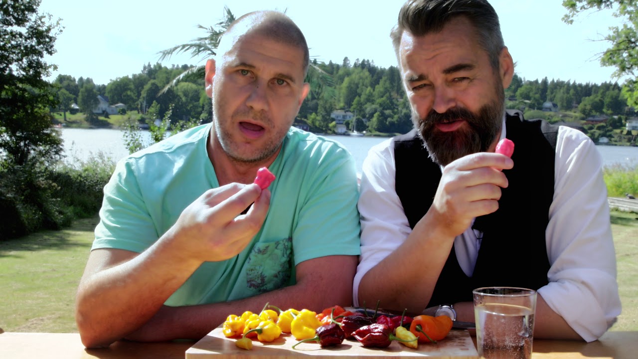 Chili Klaus & Markoolio - Swedish artist and singer  🇸🇪
