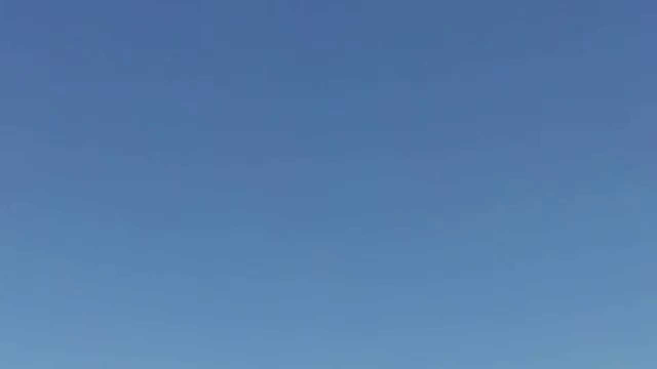 Peregrine falcon fitnes training in dynamic flying