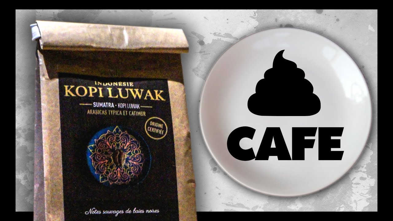 🔪 ÉTRANGES RECETTES - DU CACA ? DU CAFÉ ! - KOPI LUWAK