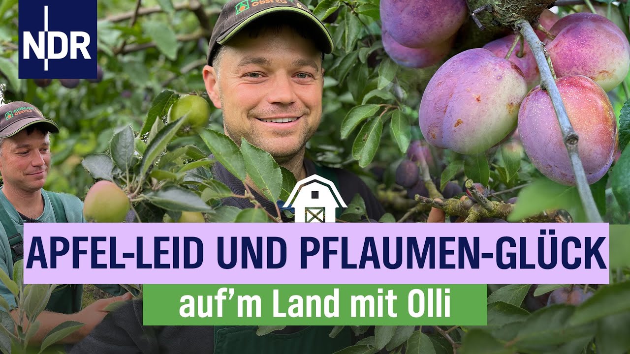 Zukunftsangst beim Obstbauern: Olli f&uuml;rchtet um seine Existenz | Folge 3 | NDR auf'm Land mit Olli