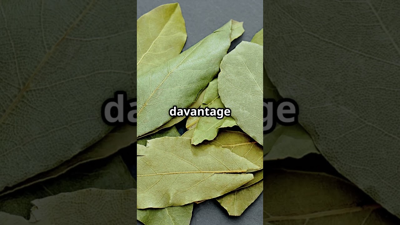 Les mouches D&Eacute;TESTENT cette plante ! Une astuce naturelle qui marche vraiment #mouche #&eacute;t&eacute;