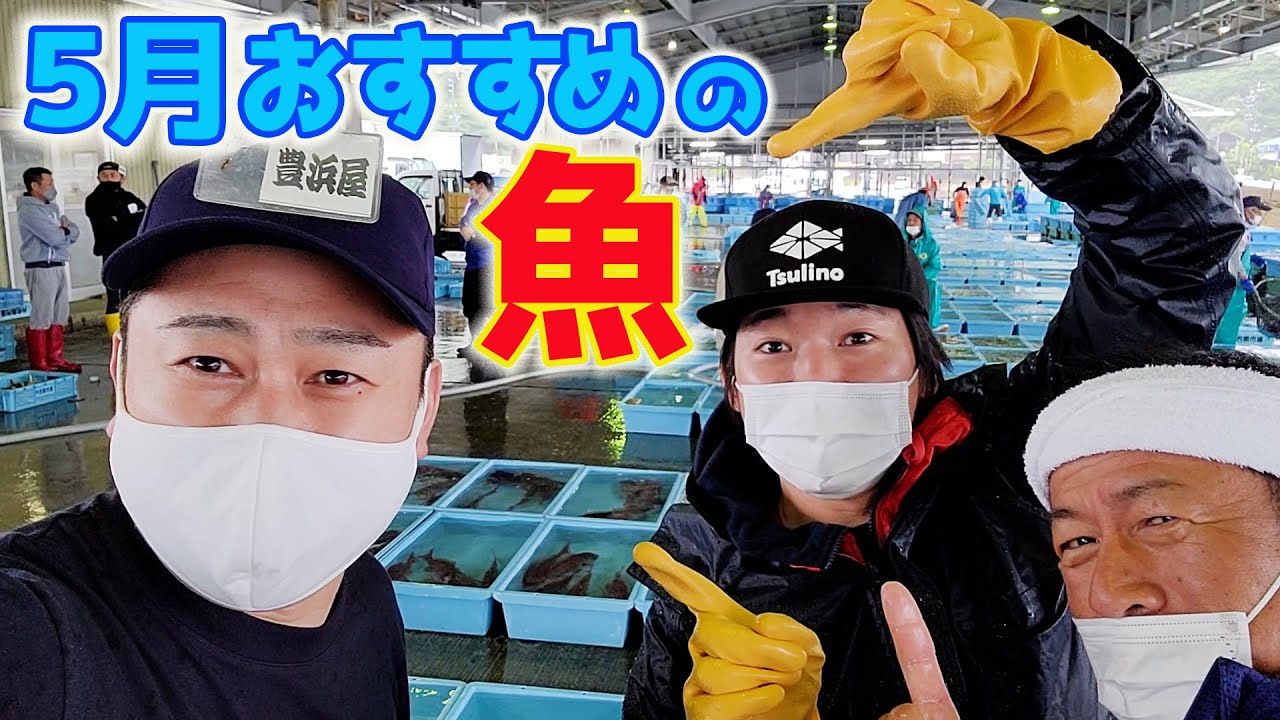 【今が旬!!】5月に食べるべきオススメのアレ！目利きのプロおすすめのお刺身でいただきました！