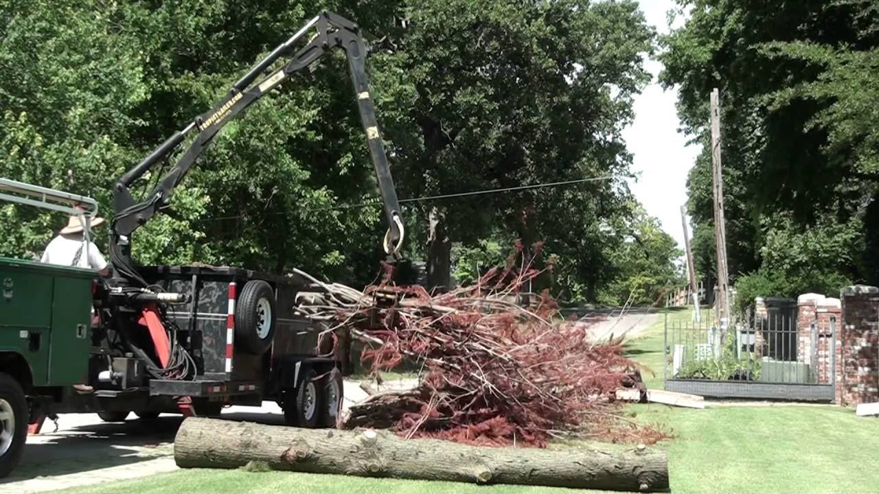 Loading a cypress tree with a grapple loading dump trailer