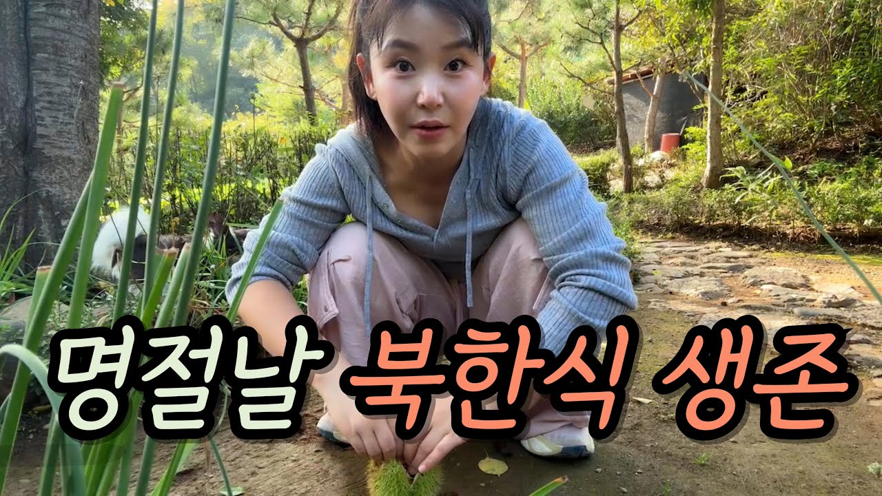 “도미 굽고 밤 줍고 고양이랑 밥 나누는 시골 한 끼🍚”