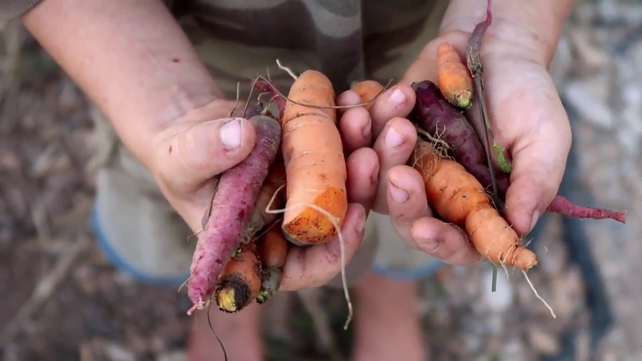 2018 Missouri Gardening Successes and 