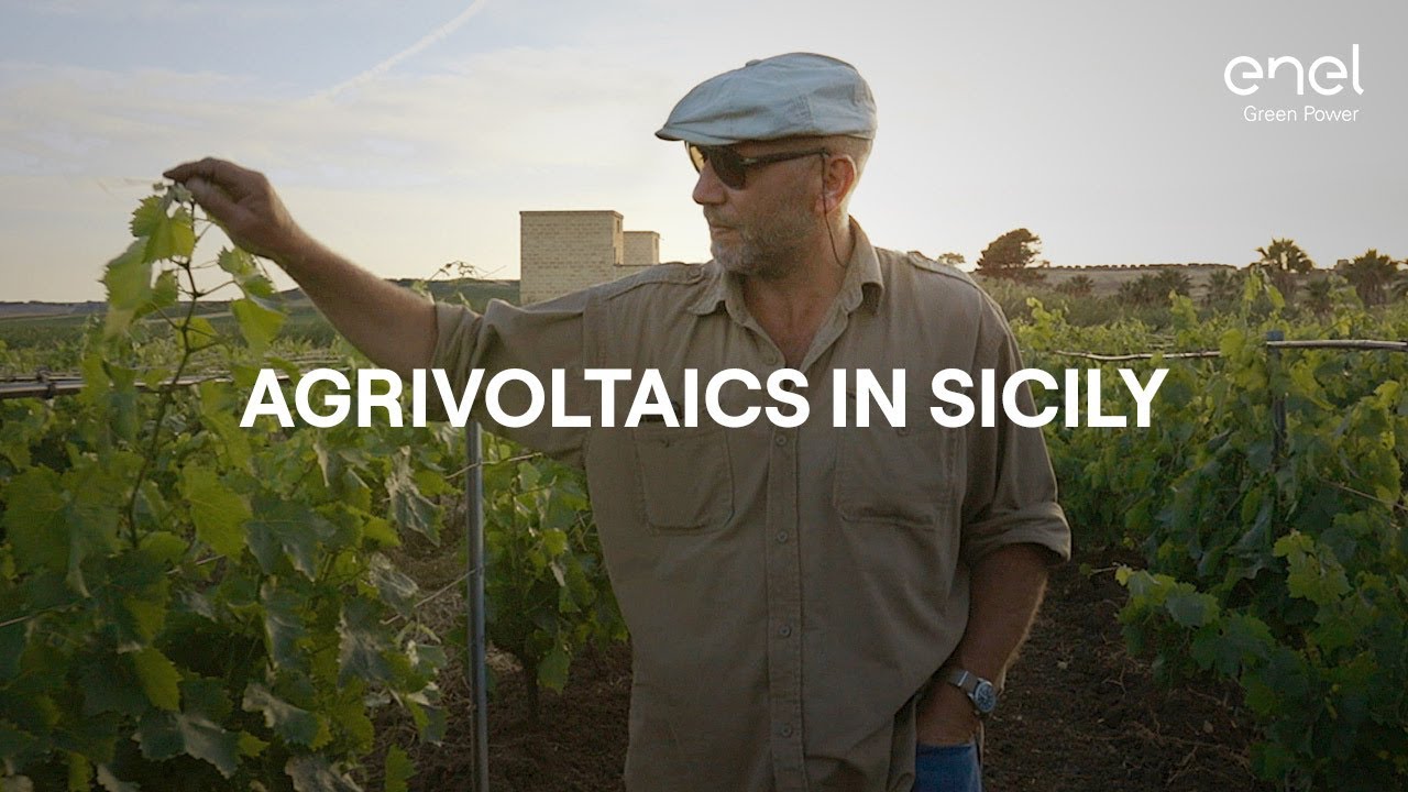 Agrivoltaics: story of Fabio Rustico