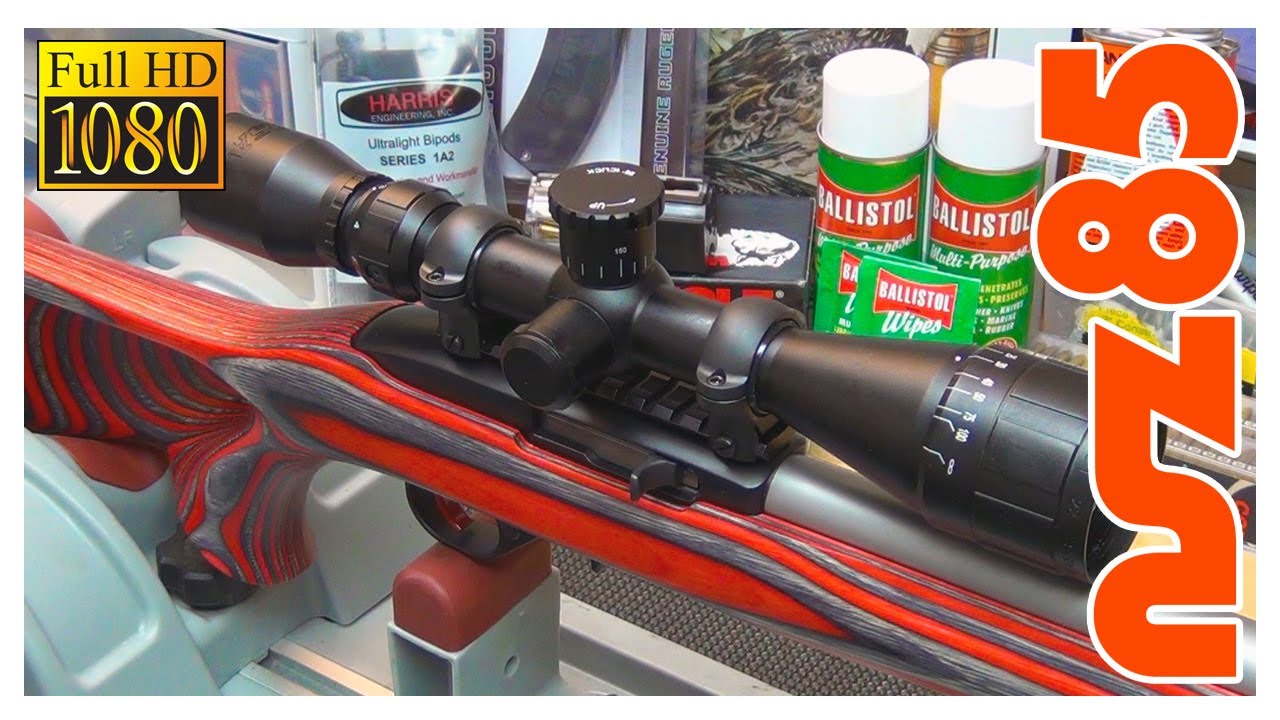 Ruger 10/22 - Scope Mounting
