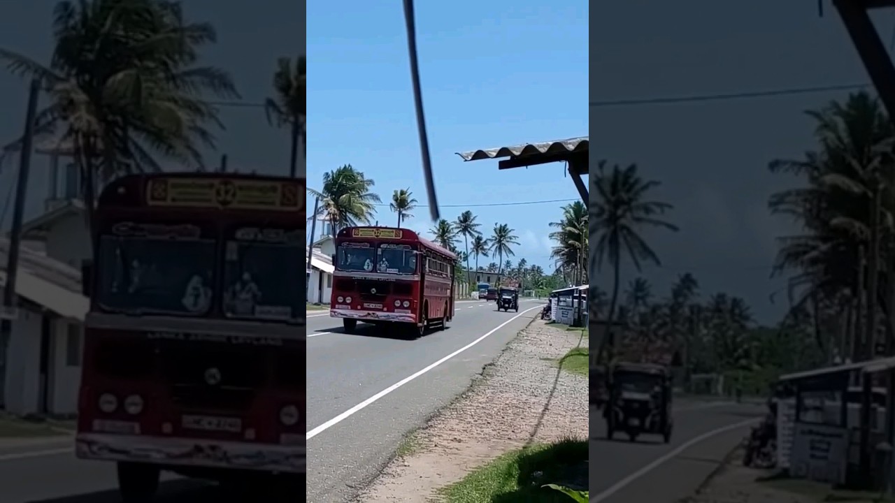 🚌කතරගම  - කොළඹ| බස් #ctb bus #srilanka# busdriving #leylandbus #katharagama |Colombo#