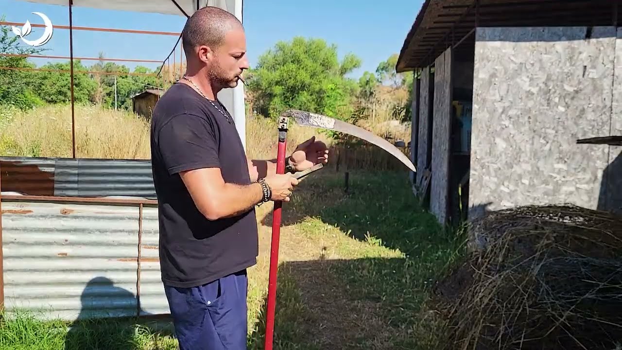 🌶️ Come Coltivare Peperoni Perfetti e Saporitissimi! 🌱🍽️.