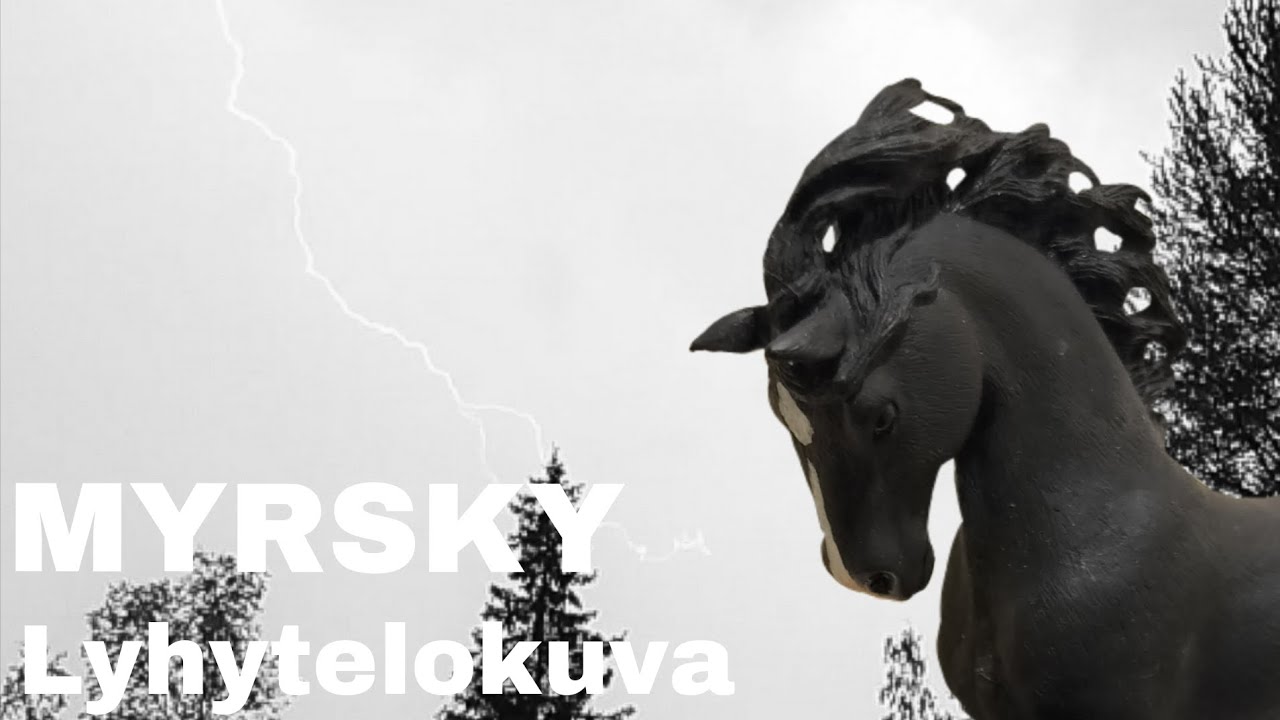 MYRSKY🌩️ | lyhytelokuva |