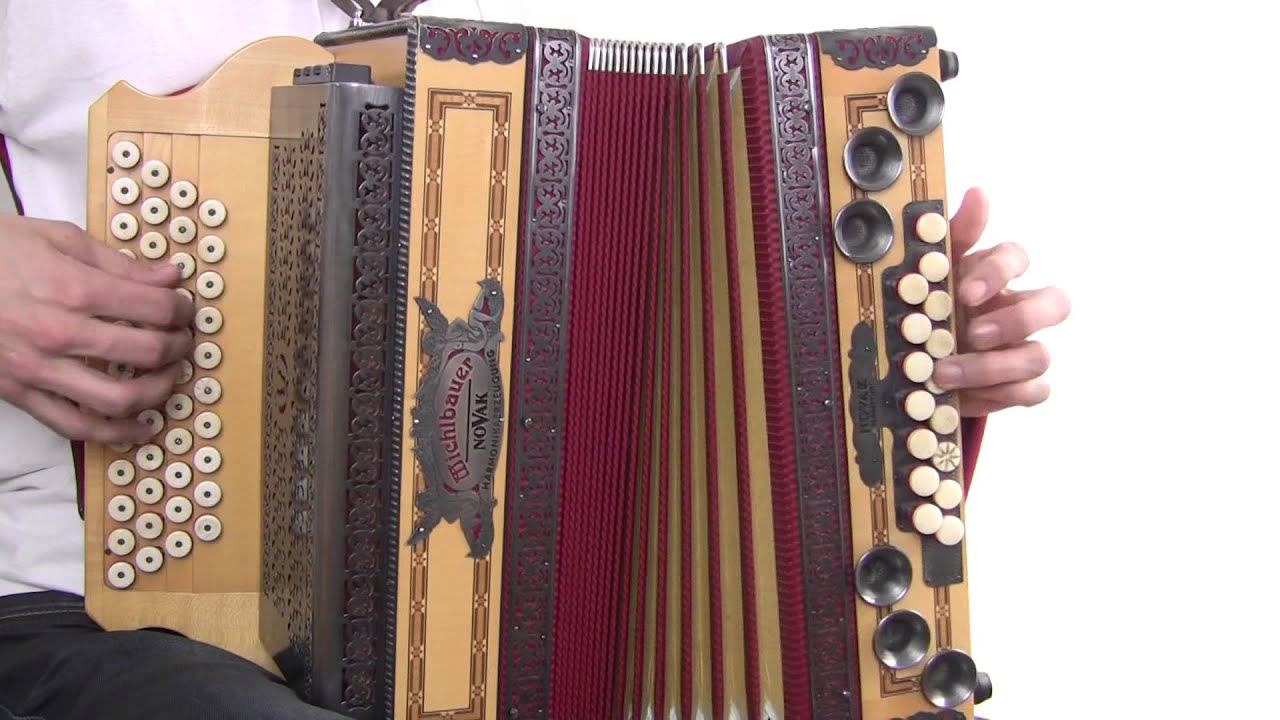 Ziachfuchs  „Joana“