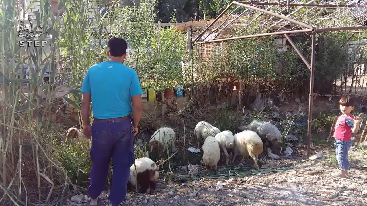 خطوة || الهامة تموت حصارا على مشارف دمشق