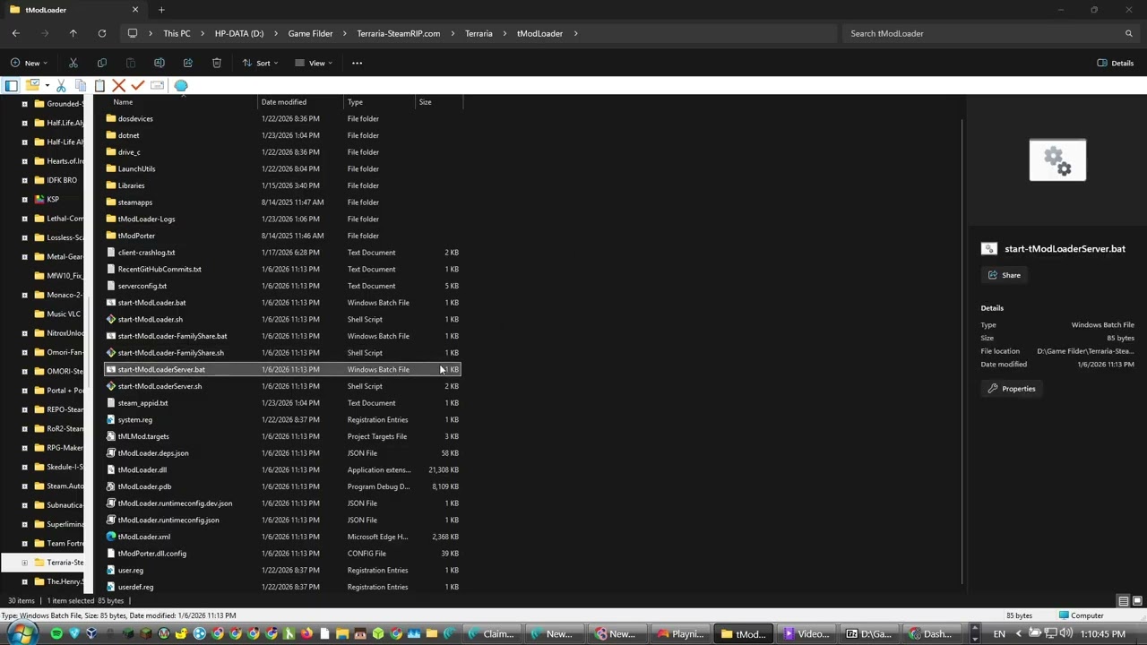 How to get TmodLoader working on CRACKED TERRARIA