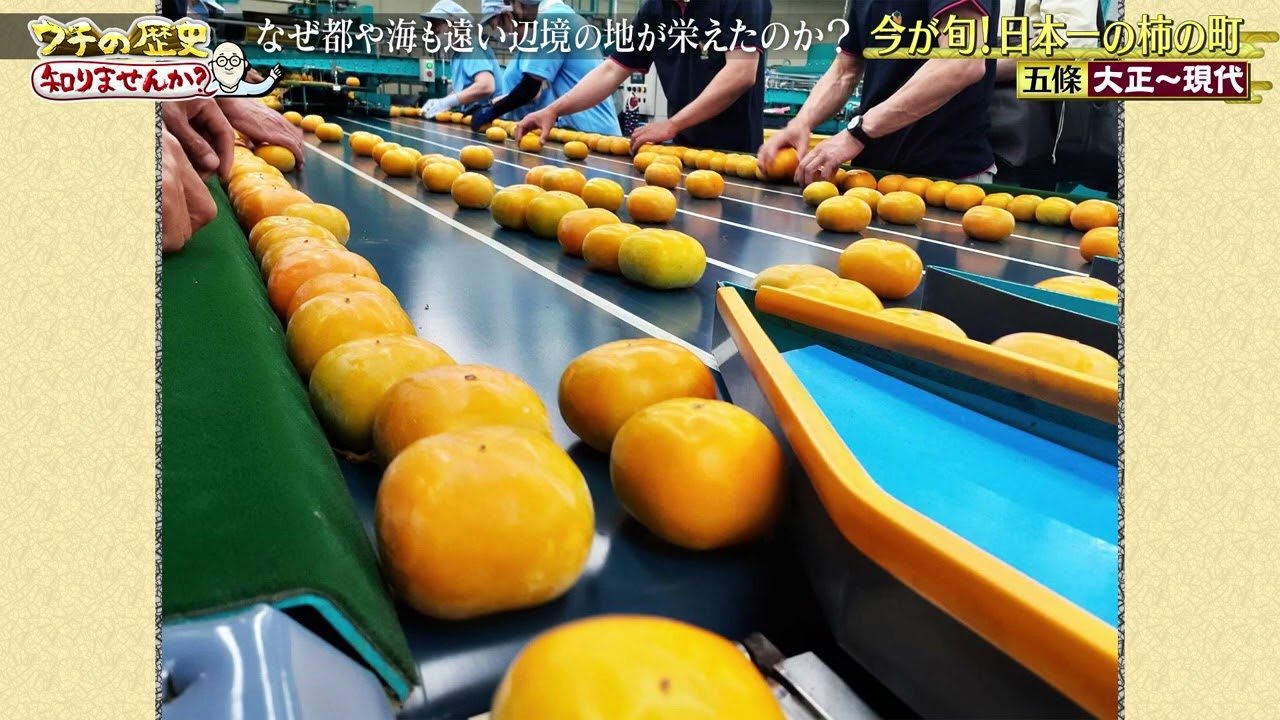 ウチの歴史、知りませんか？【五條市・橋本市】