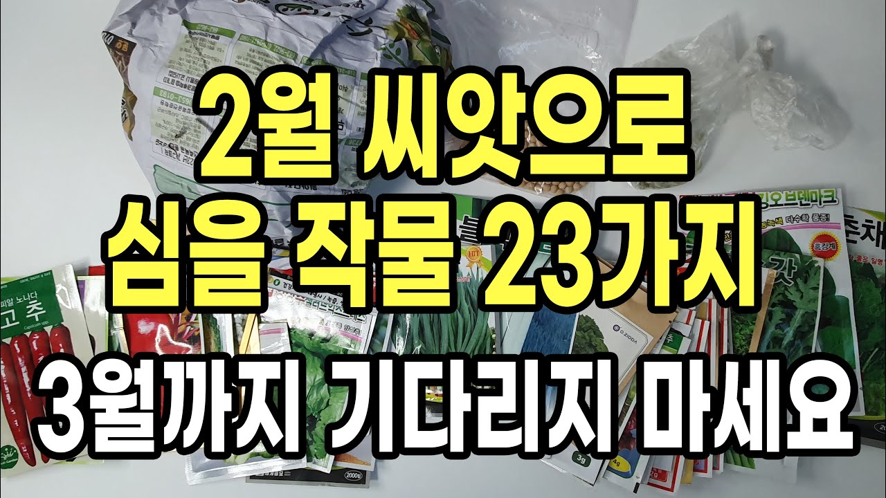 2월에 씨앗으로 심을 수 있는 작물 23가지 3월까지 기다리지 마세요