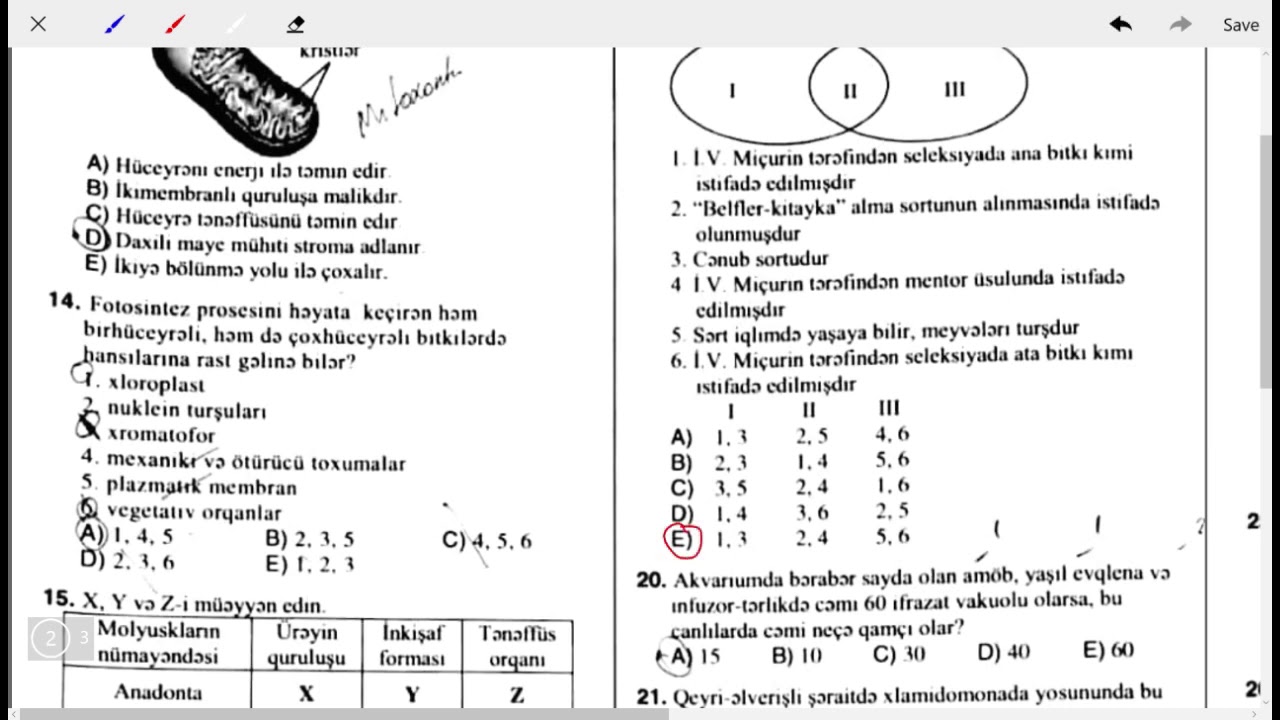DİM İmtahan Biologiya IV blok qəbul 20.08.2020 İzahlı testlər