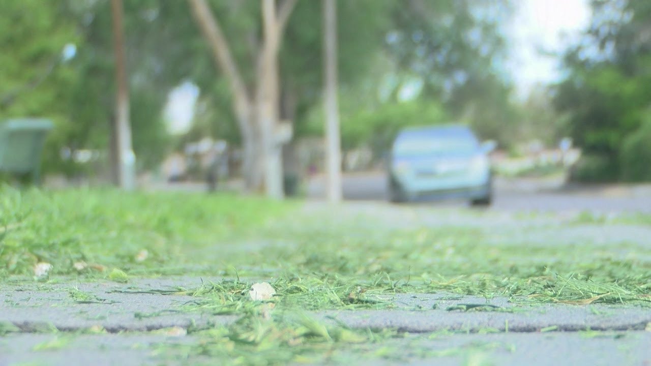 Albuquerque park crews prepare for busy weed season