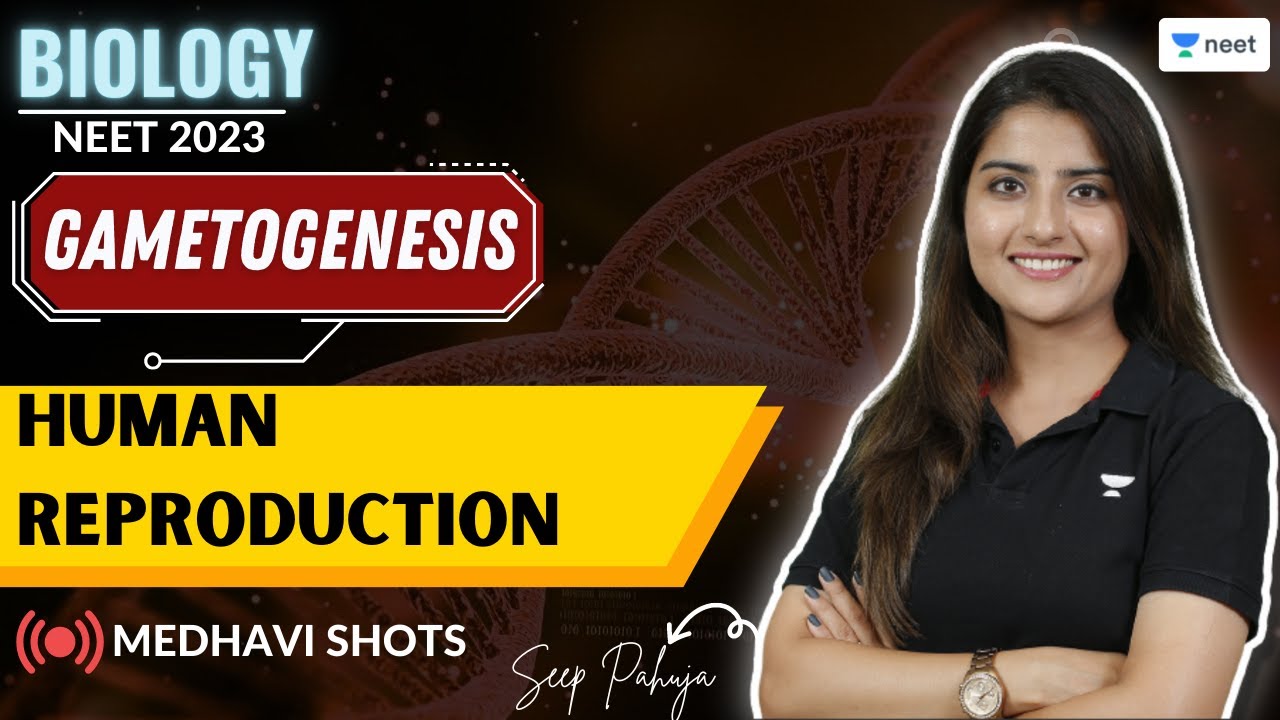 Gametogenesis | Human Reproduction | Medhavi Shots | NEET 2023 | Seep Pahuja