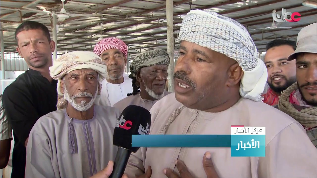 تطبيق نظام المزاد بسوق الأسماك في ولاية الخابورة