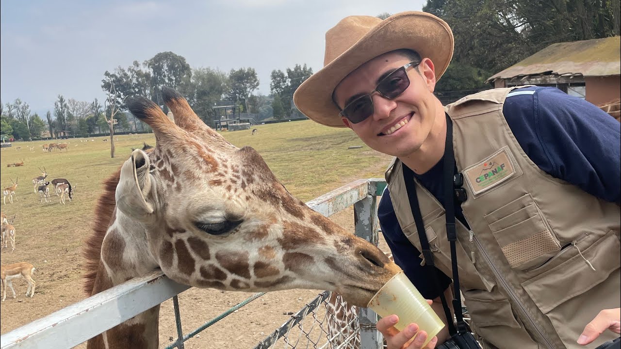 ¡Alimenté a los ANIMALES MÁS GRANDES del Zoológico Zacango!