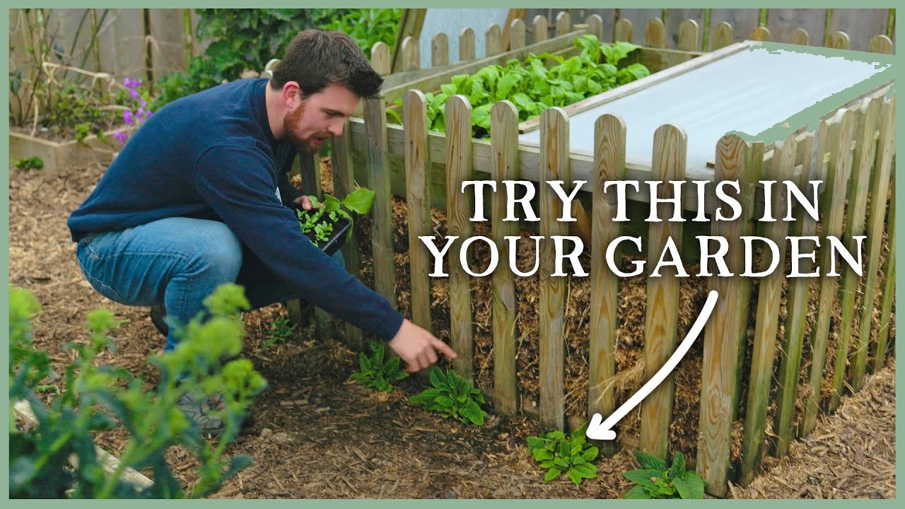 Composting Trick, First Plantings & Pruning Berries | The Kitchen Garden Ep1