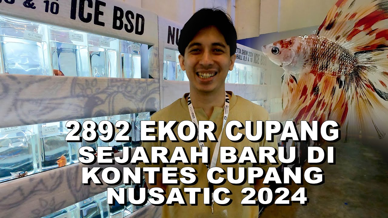 KONTES CUPANG TERBESAR DALAM SEJARAH DI NUSATIC 2024 ICE BSD SERPONG