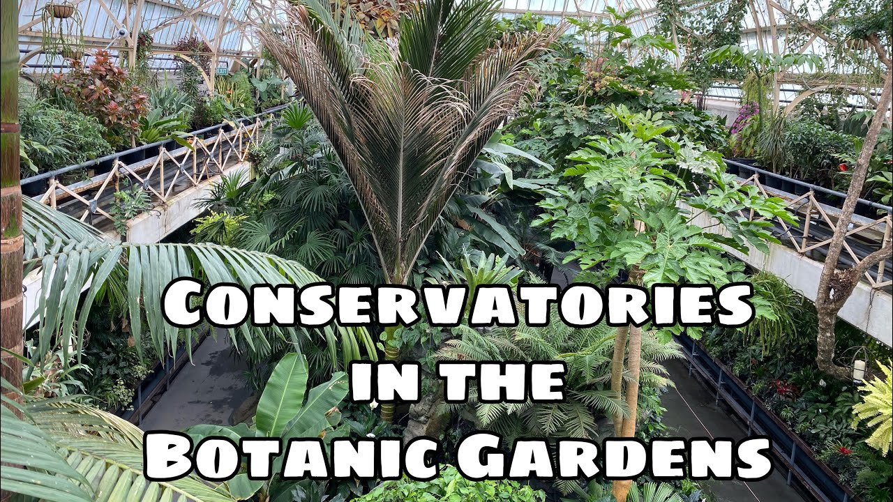 Indoor Plant Botanic Garden