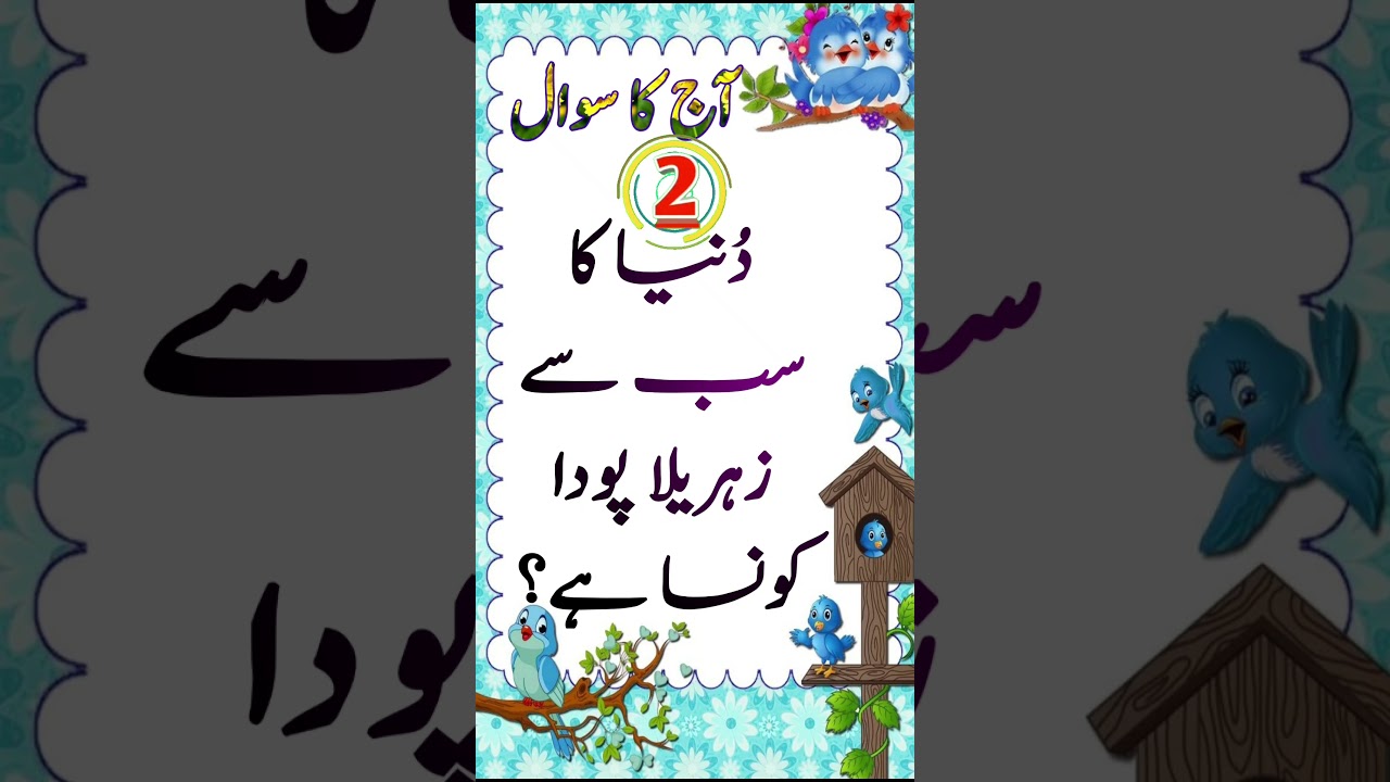 Urdu Gk Short Quiz intresting Questions #gk #shorts #urdu