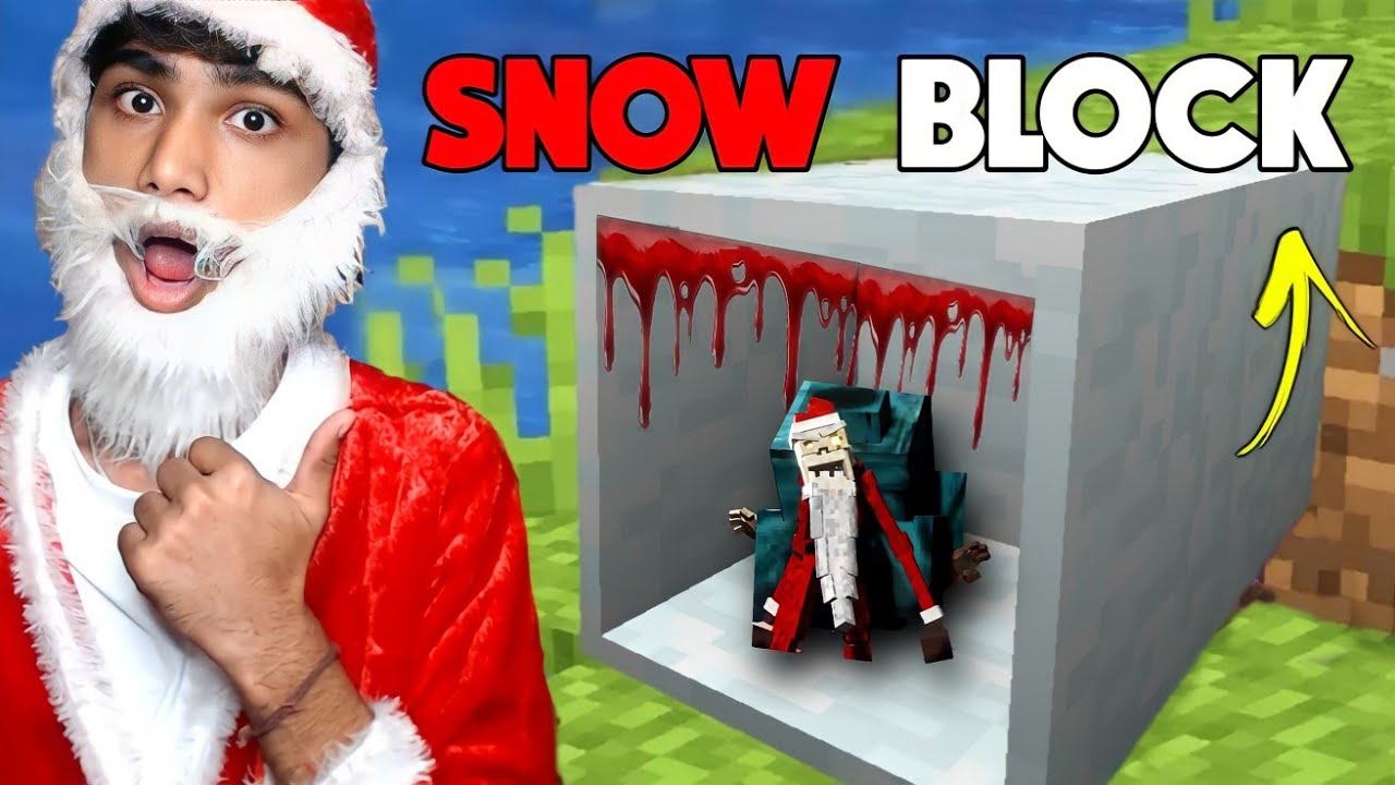 Minecraft But I Can Go Inside Any Block | ft christmas
