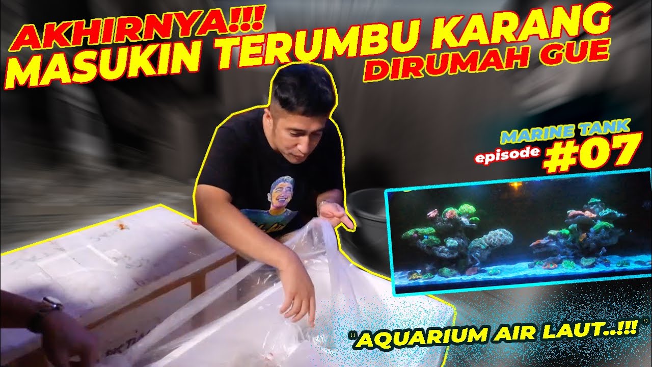 AQUARIUM AIR LAUT #EPS07 | KARANG PILIHAN MASUK AQUARIUM GUE