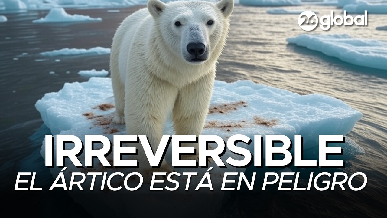 La pérdida de hielo del Ártico alcanza niveles sin precedentes | #26Global