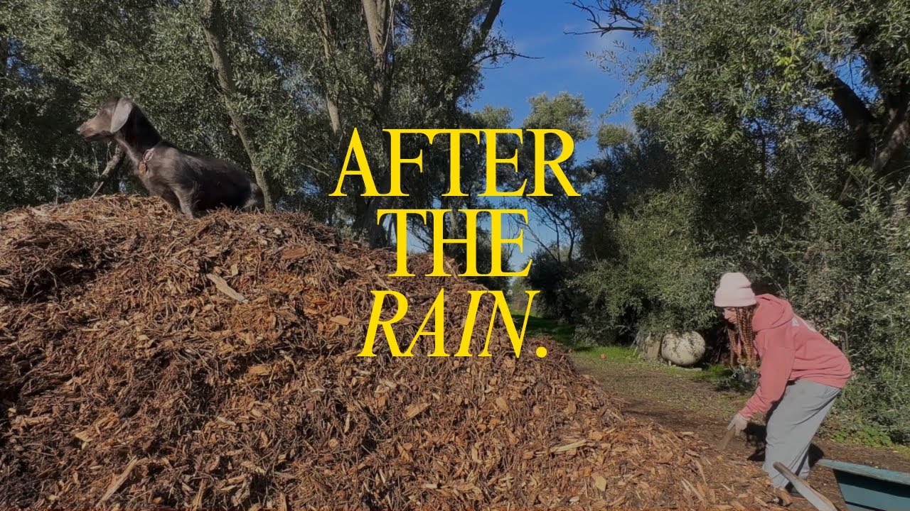 A Rainy Day on the Homestead | Preparing the Garden for Spring