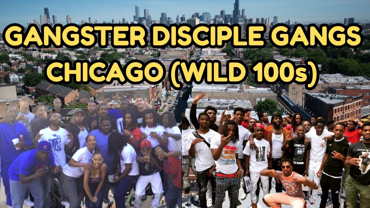 Inside Chicago’s Wild 100s: The Rise of the Gangster Disciples Gangs