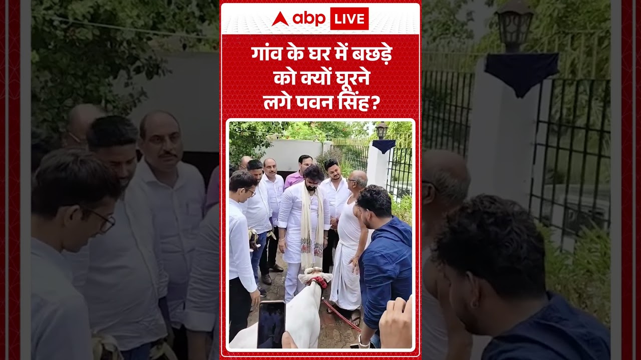 Pawan Singh MLC : गांव के घर में बछड़े को क्यों घूरने लगे पवन सिंह? #shorts #viralvideo