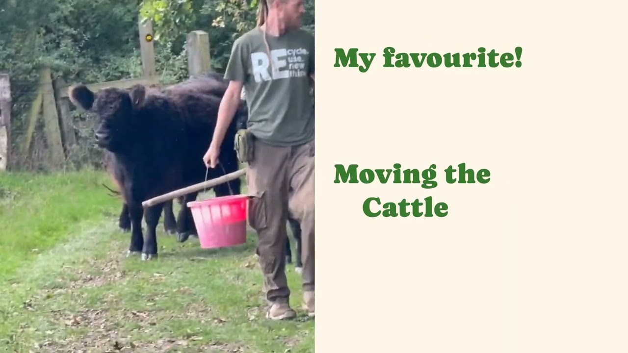 September Farm Update - Reseeding, Cattle, Talks and Wetlands