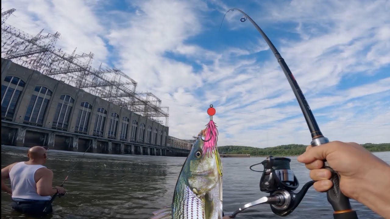 DON’T go to Conowingo Dam WiTHOUT these lures.
