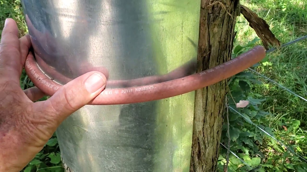 Greg Judy uses trees for corner posts only after protecting them first
