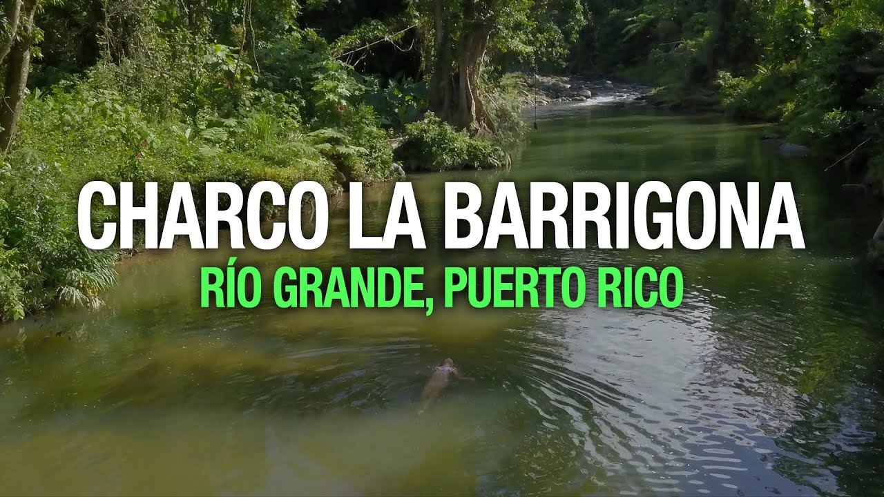 Charco La Barrigona, Río Grande, Puerto Rico 🇵🇷