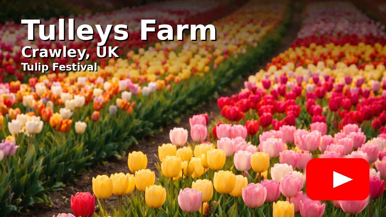 Il mio viaggio a Tulleys Farm